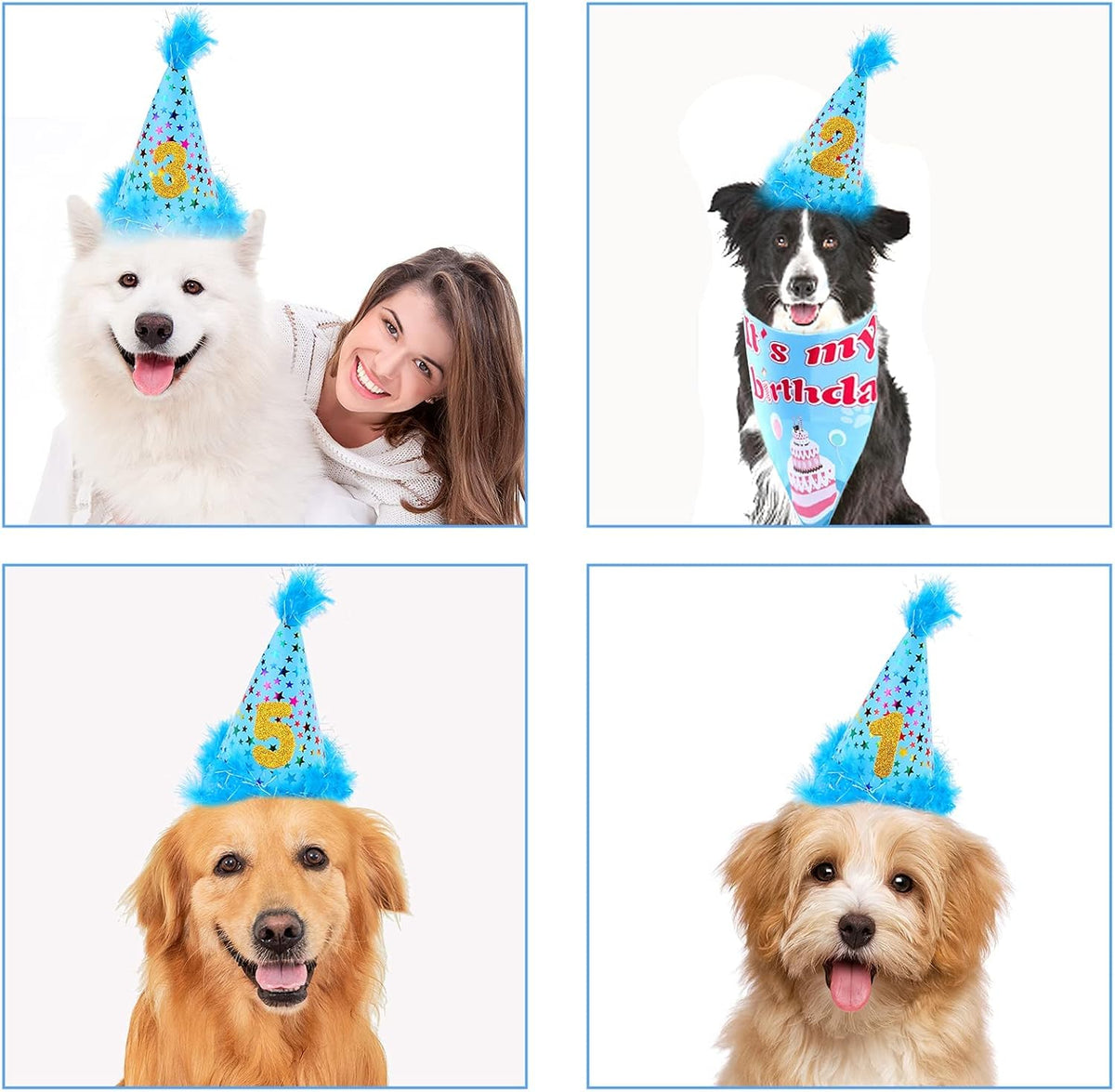 Large dog posing with the complete birthday decoration set props.