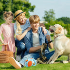 Small dog walking with Yajisa retractable leash