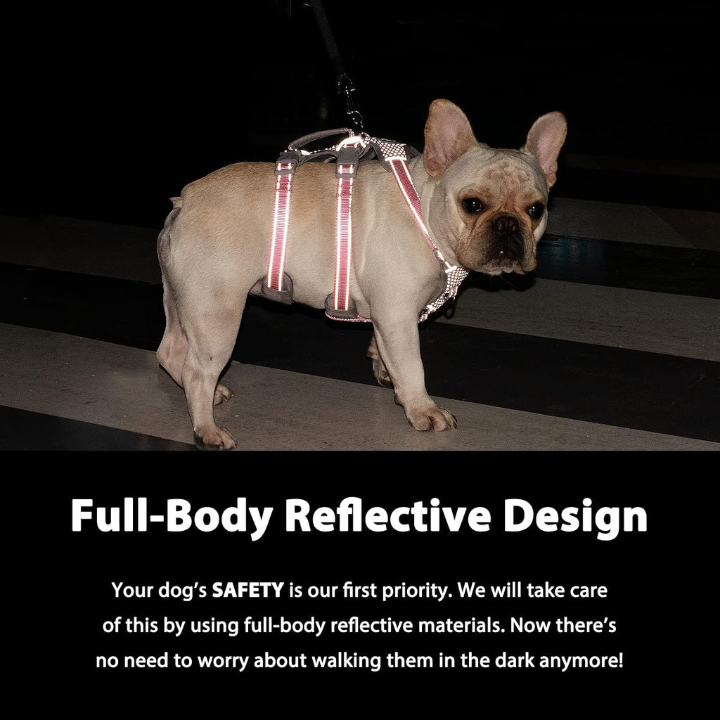 Fully reflective night walking pet vest for medium dogs