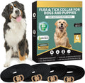 Lerqua flea and tick collar for dogs 4 pack front view