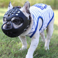 JYHY short snout dog muzzle front view on a bulldog highlighting the soft silicone basket design.