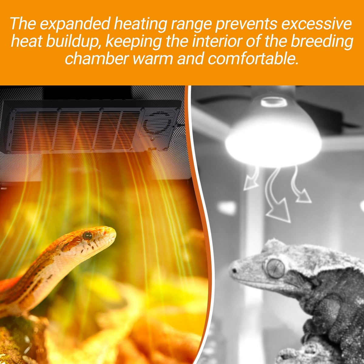 Energy efficient reptile heat panel installed over a snake enclosure