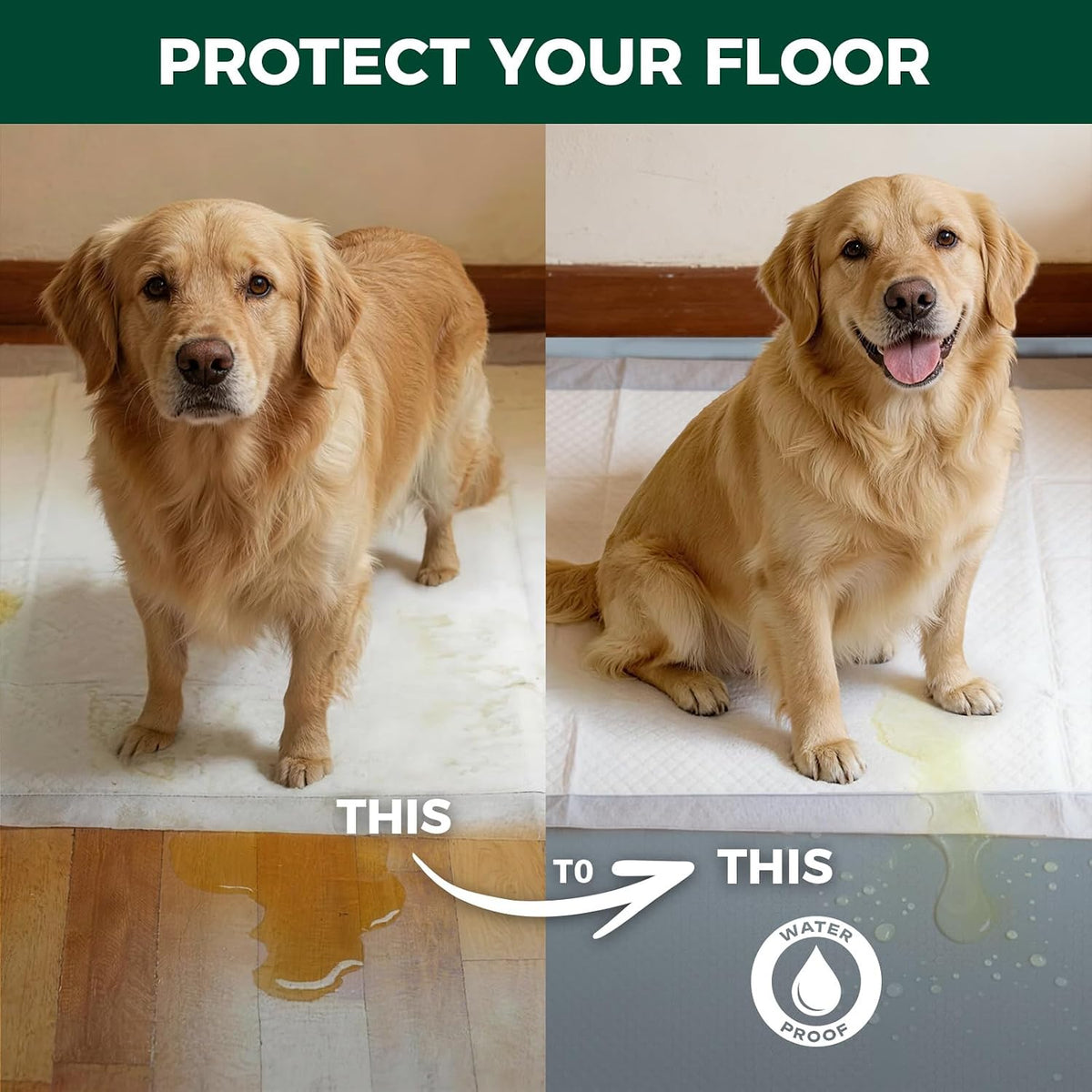 FXW floor mat placed under dog crate for surface protection
