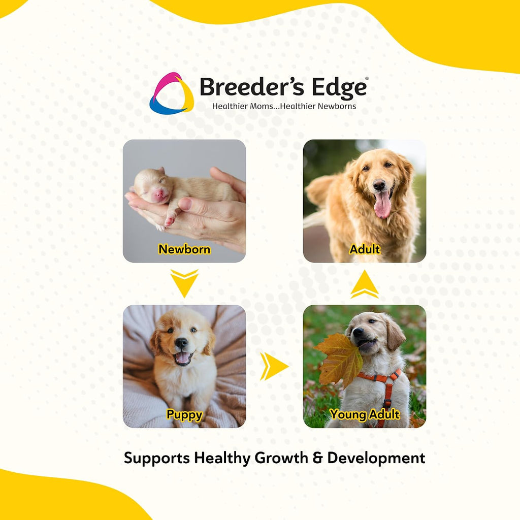 Breeder's Edge Foster Care GM authentic USA imported milk supplement for newborn pets