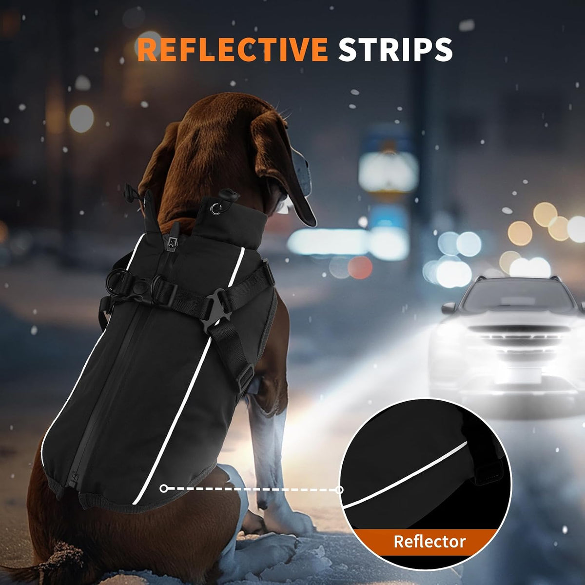 Fiveda water resistant dog clothes for winter demonstrating water droplet protection
