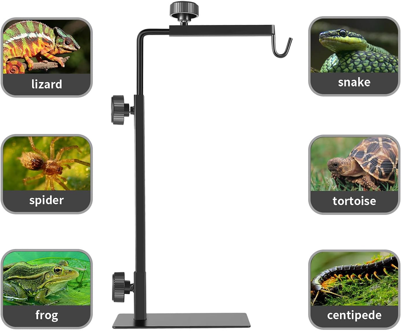 Bourdserk adjustable metal floor light holder positioned over a glass terrarium with a dome heat lamp hanging over a tortoise.