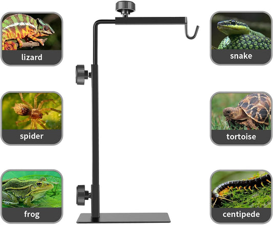 Bourdserk adjustable metal floor light holder positioned over a glass terrarium with a dome heat lamp hanging over a tortoise.