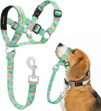 Higo Dog Head Collar front view of green floral halter on small dog