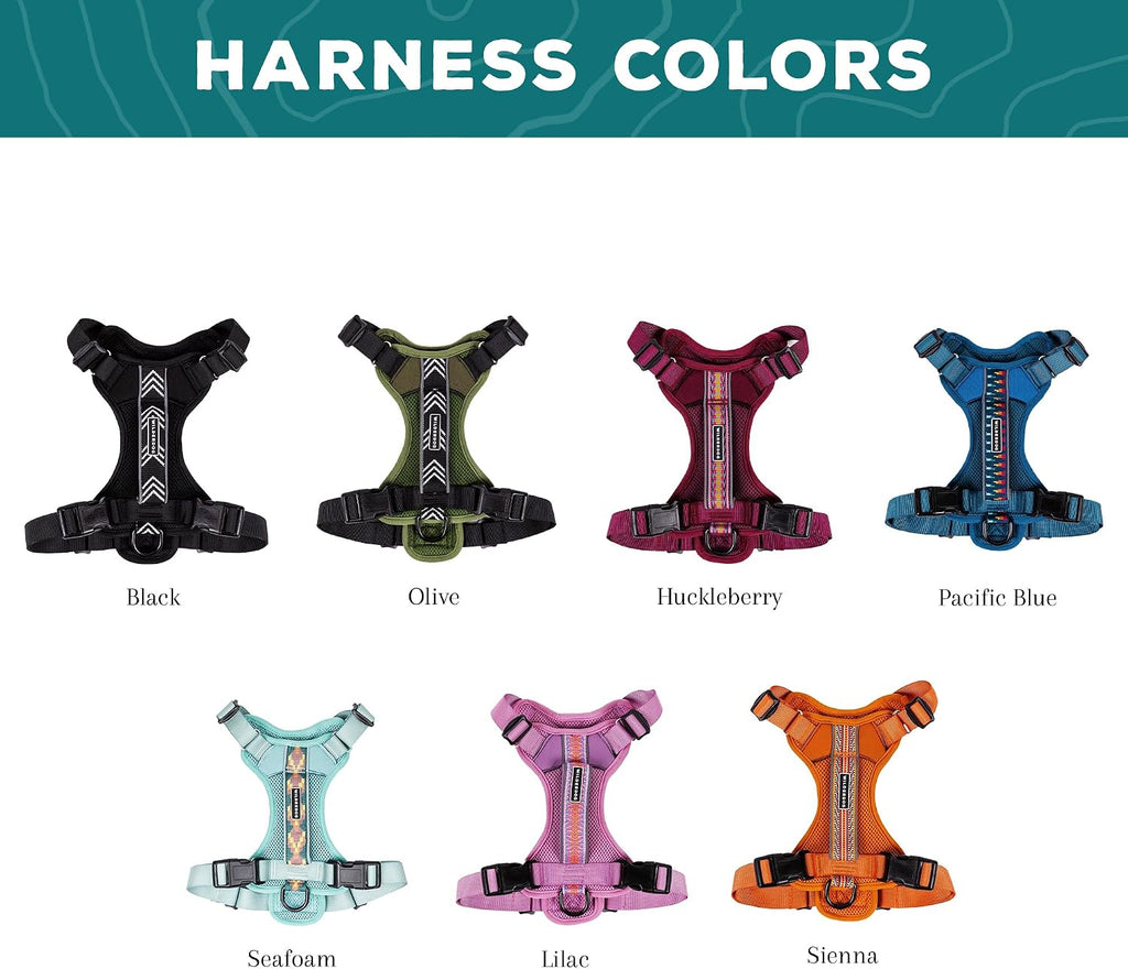 Wilderdog outdoor adventure dog harness top handle view