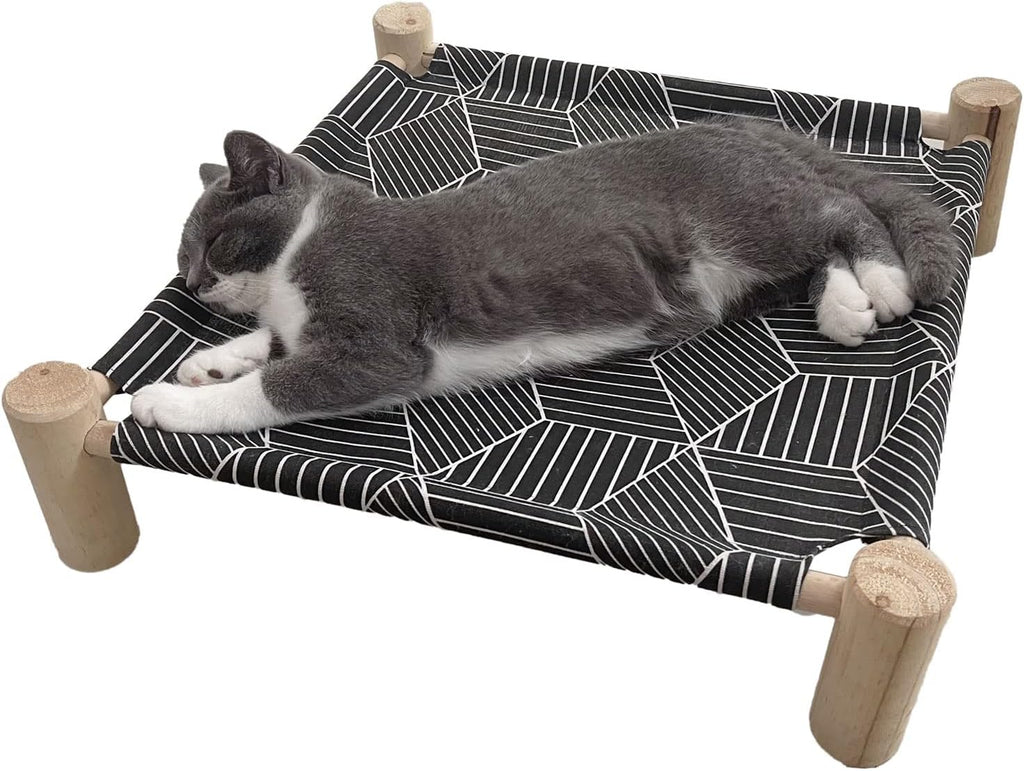 Small cat resting on elevated Pozico pet bed