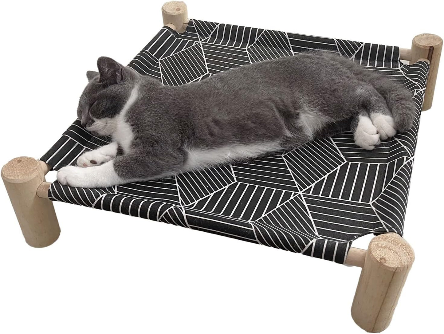 Small cat resting on elevated Pozico pet bed