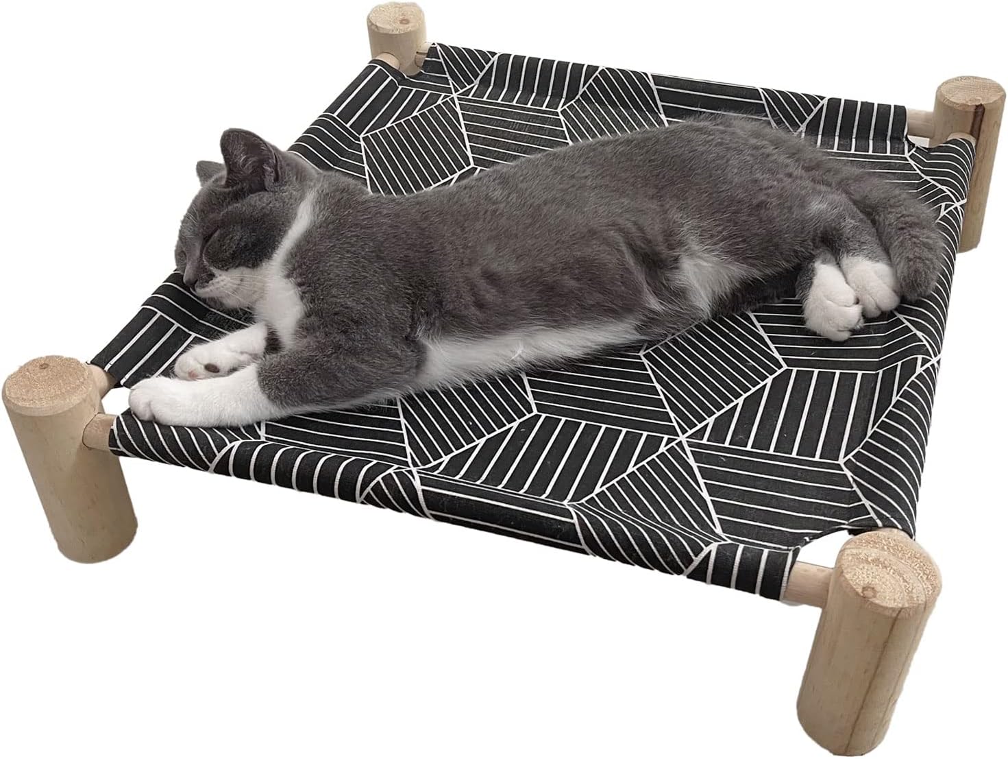 Small cat resting on elevated Pozico pet bed