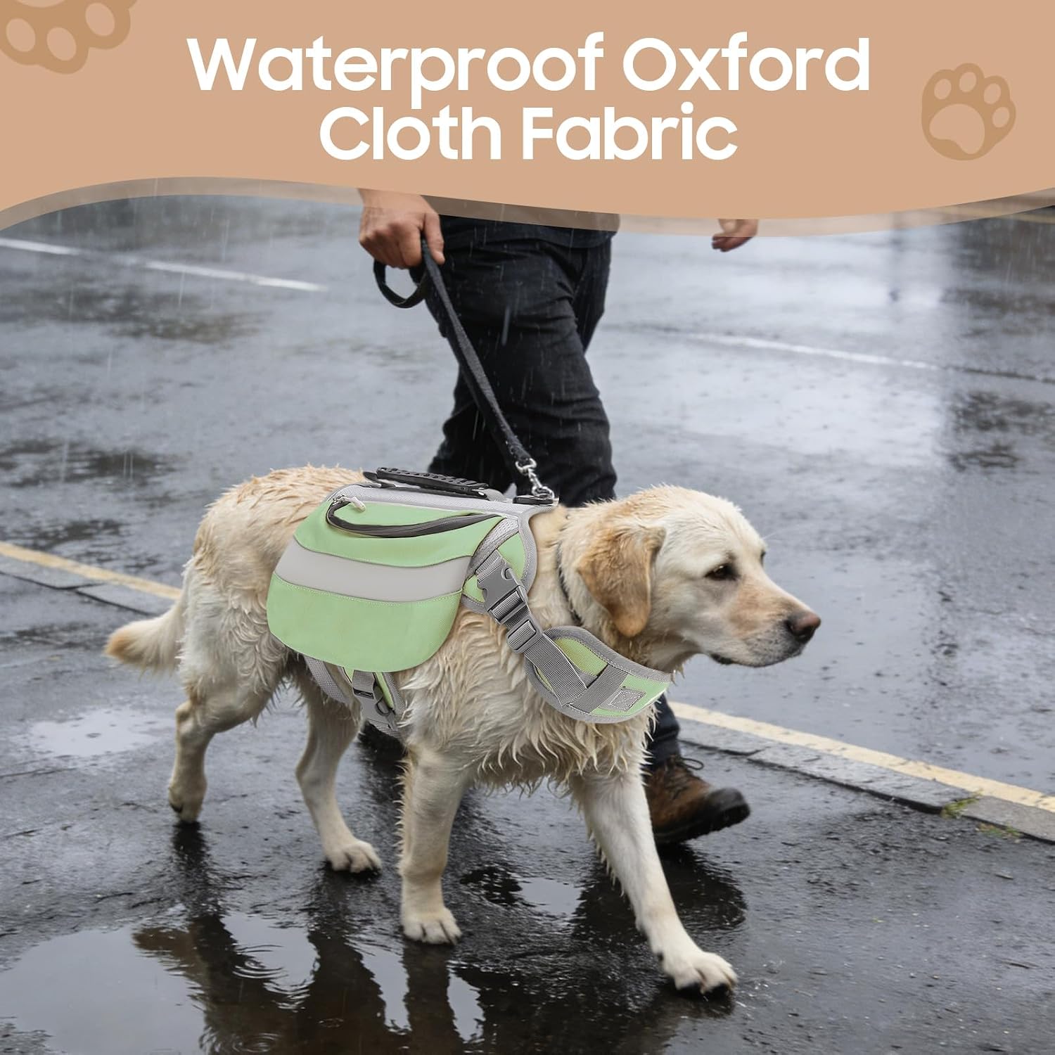 Rosvola outdoor dog training gear with secure stitching and hardware details