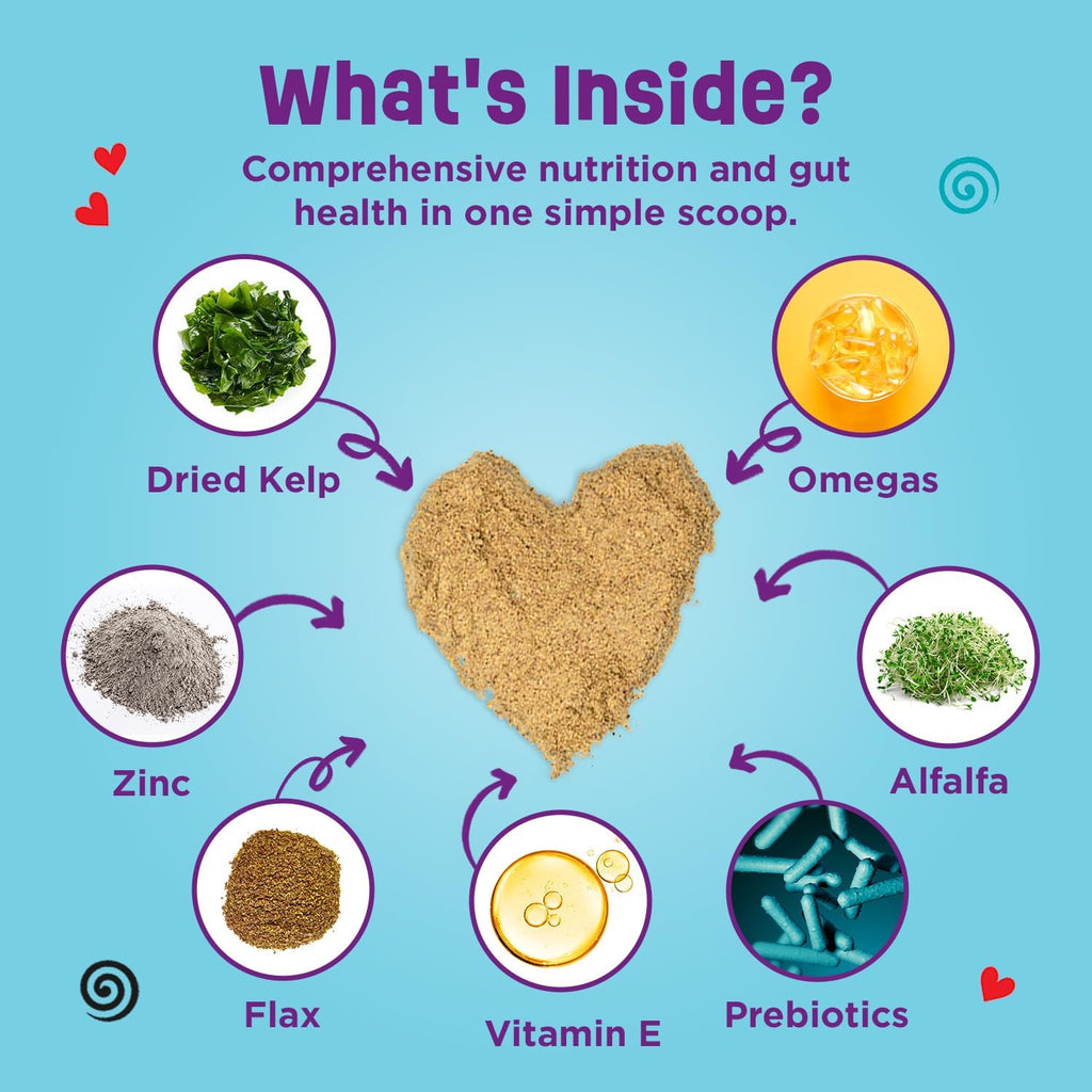 Dinovite daily nutritional powder scoop for dog gut health
