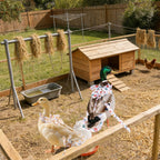 Complete 3-piece poultry care set laid out flat.