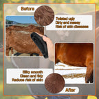 Black rubber curry comb for cats and dogs shedding control