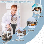 Adjustable neck feature on surgical onesie for cats