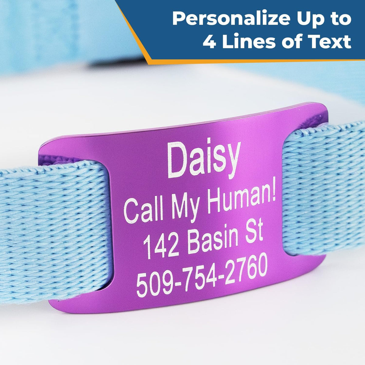 GoTags curved aluminum cat and dog nameplate showcasing the ergonomic design for pet neck comfort.