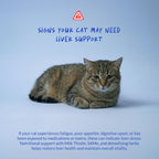 Natural flavor milk thistle supplement for cats easily mixed with food close up view