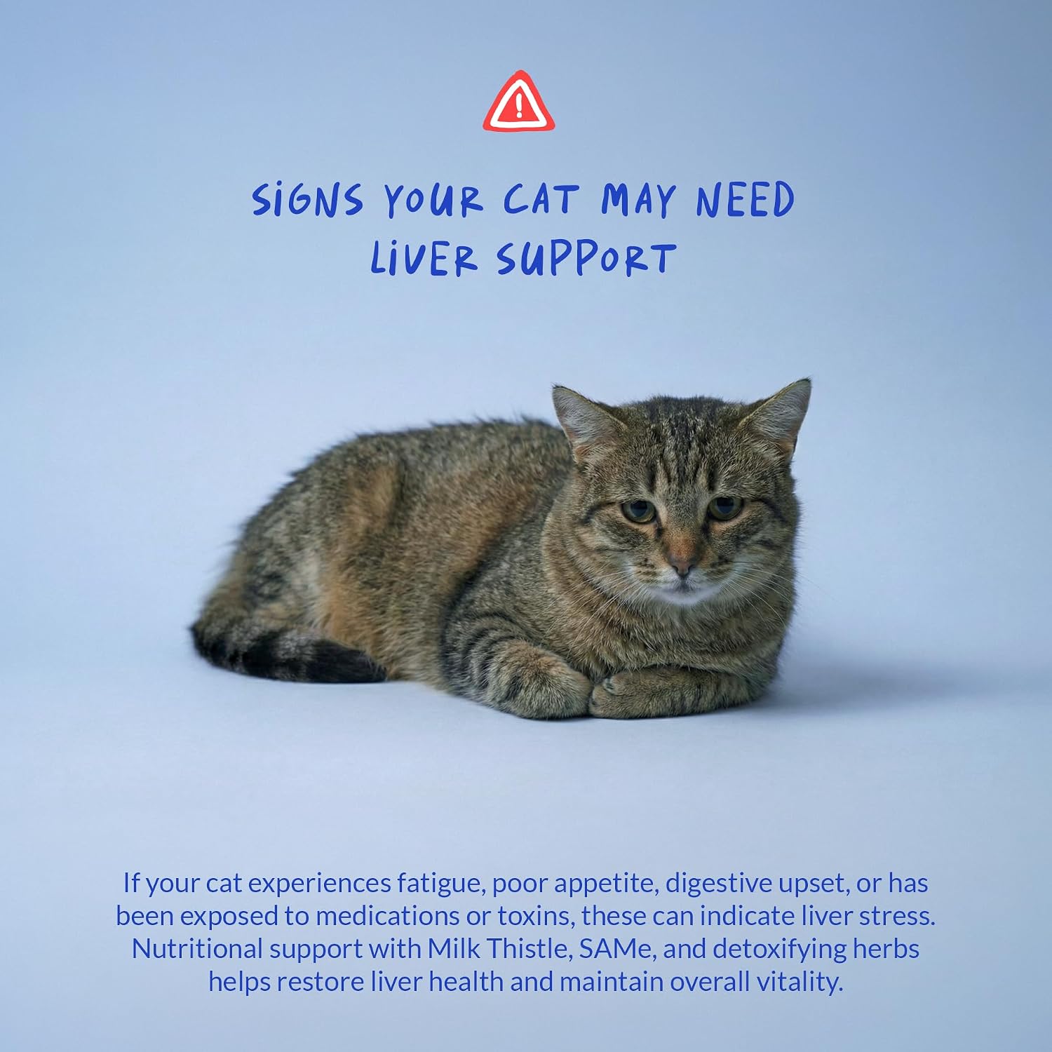 Natural flavor milk thistle supplement for cats easily mixed with food close up view