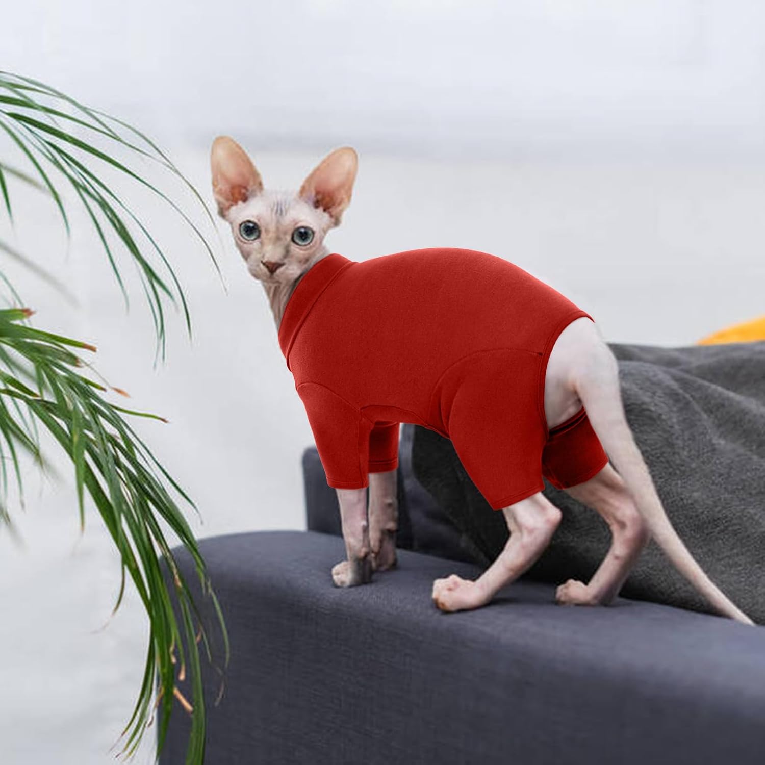 Elastic collar detail on Rozkitch cat clothing