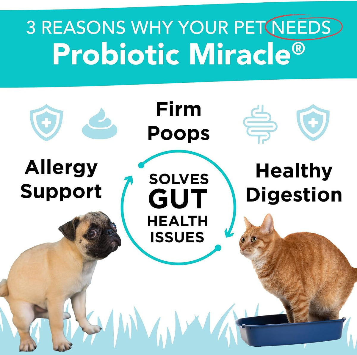 Nusentia pet probiotics for dog diarrhea relief packaging