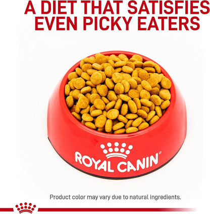 Authentic USA imported Royal Canin Feline Satiety Support dry cat food premium packaging angled view.