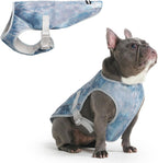Spark Paws dog cooling vest in ice blue front view