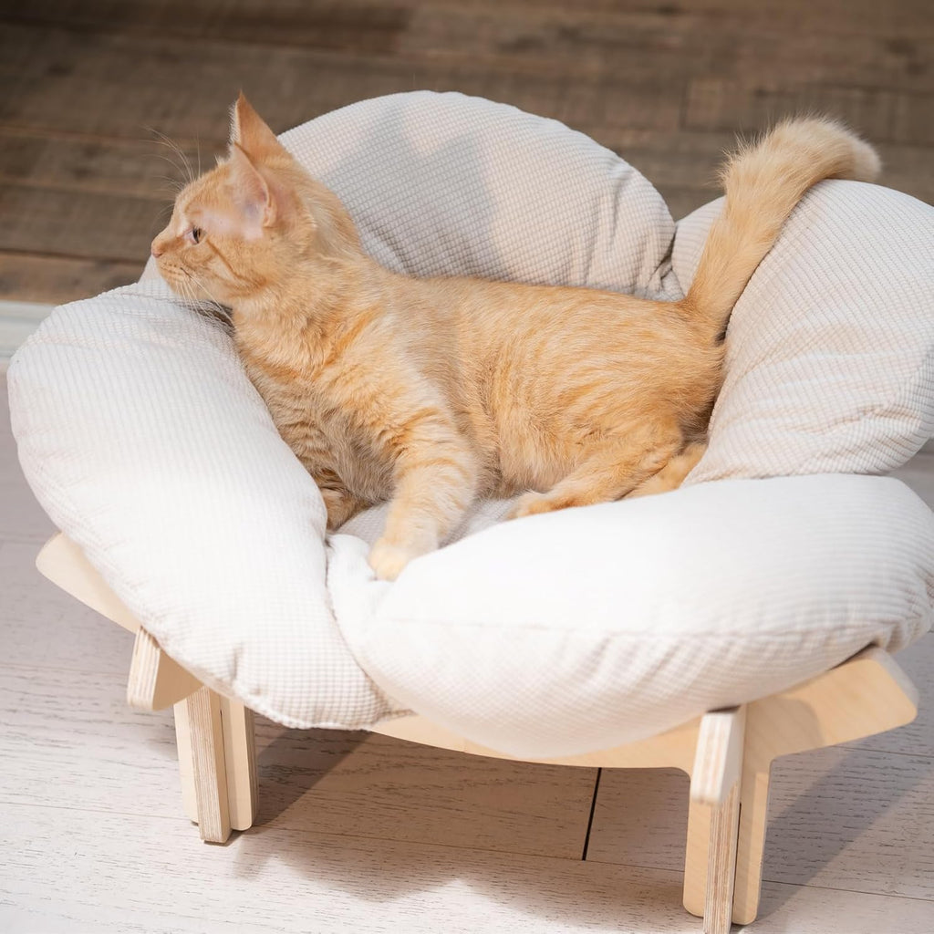 White cat sofa furniture in modern living room setting