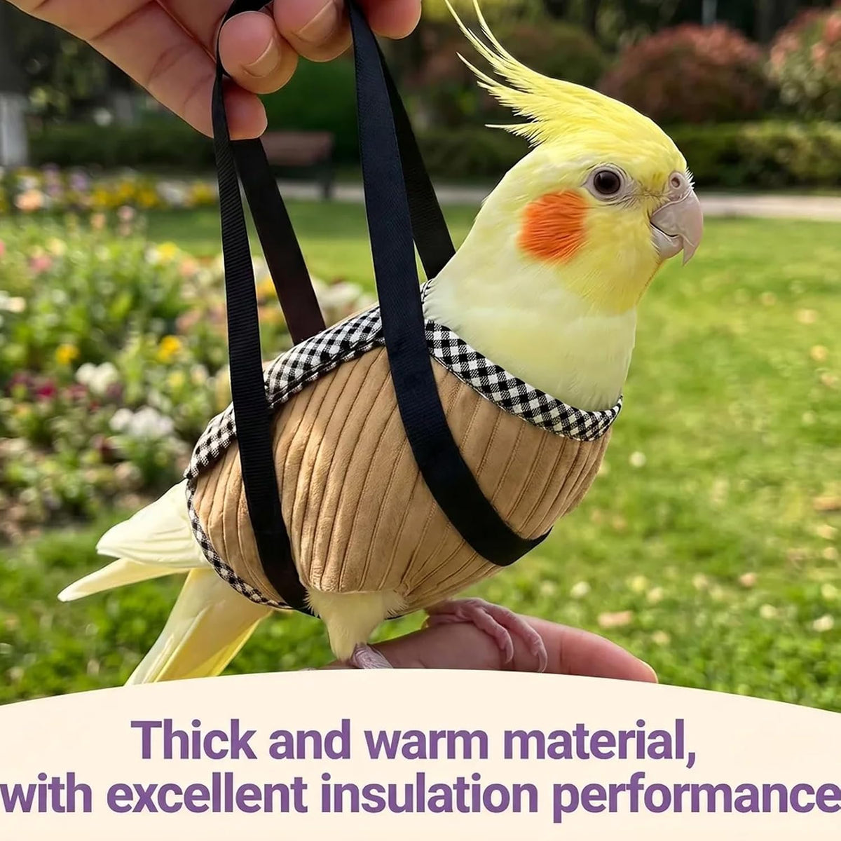 Hokable small bird carrier demonstrated with cockatiel