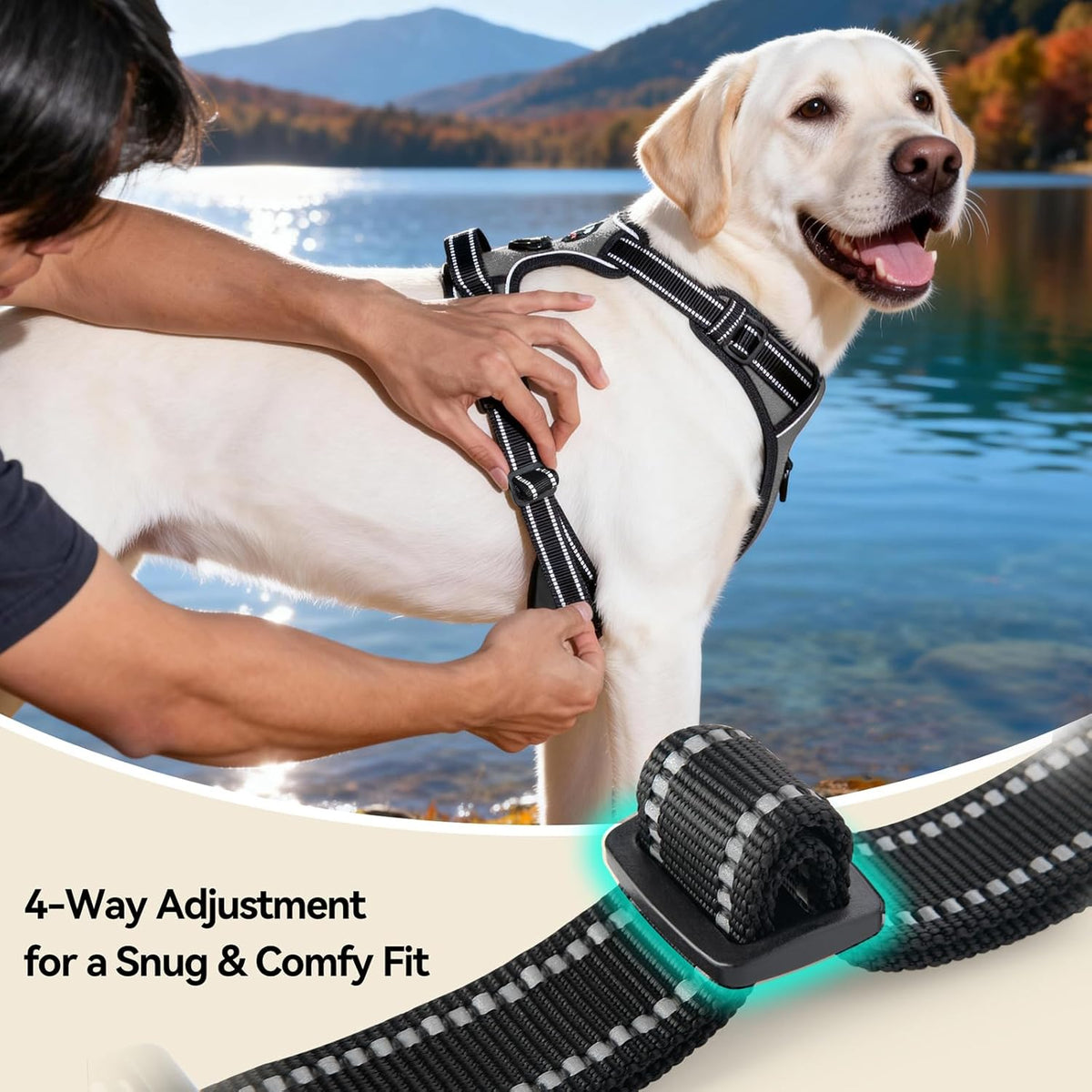 Underneath view of breathable Phoepet harness padding