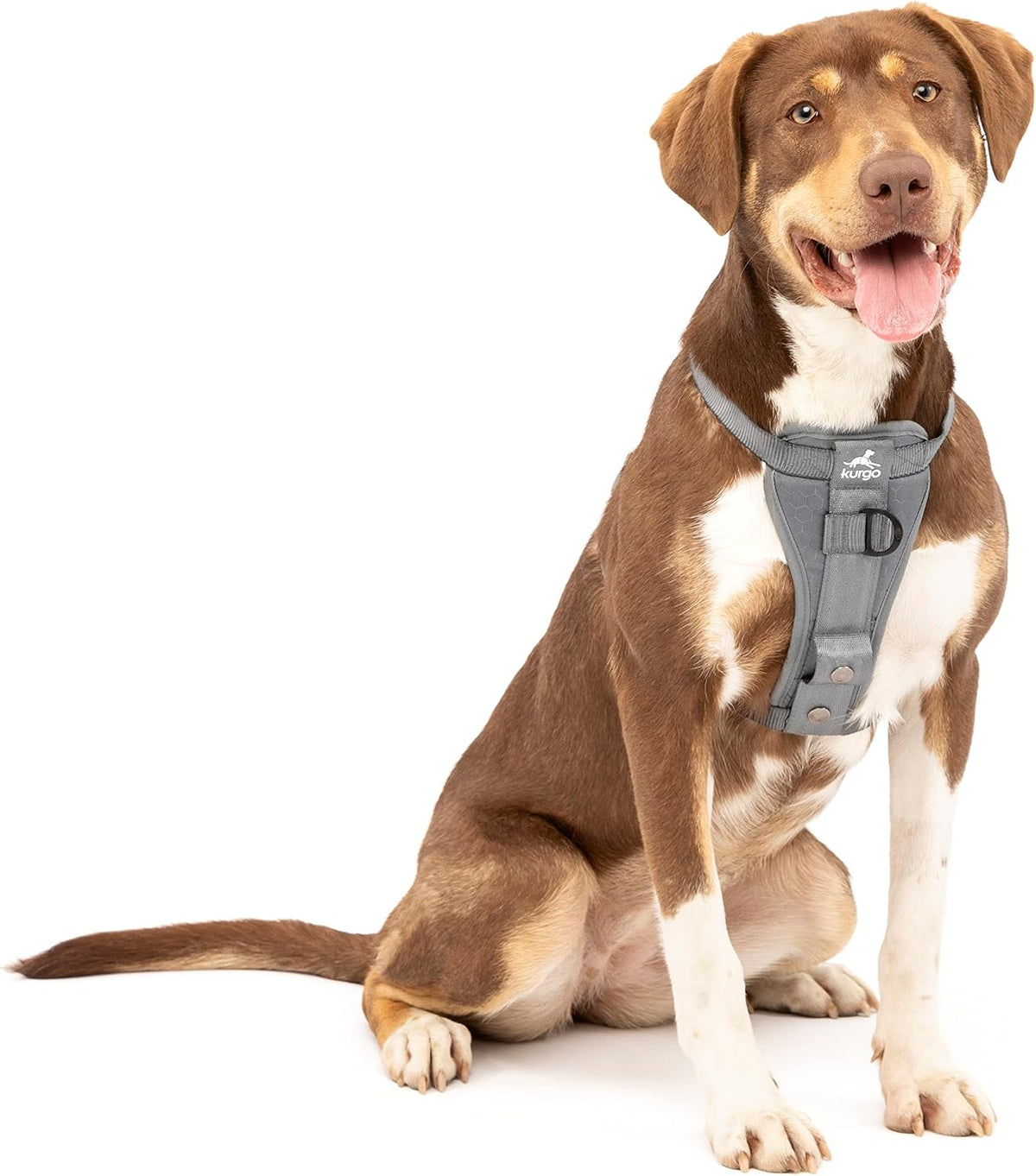 Packaging of Kurgo crash tested dog car harness for travel