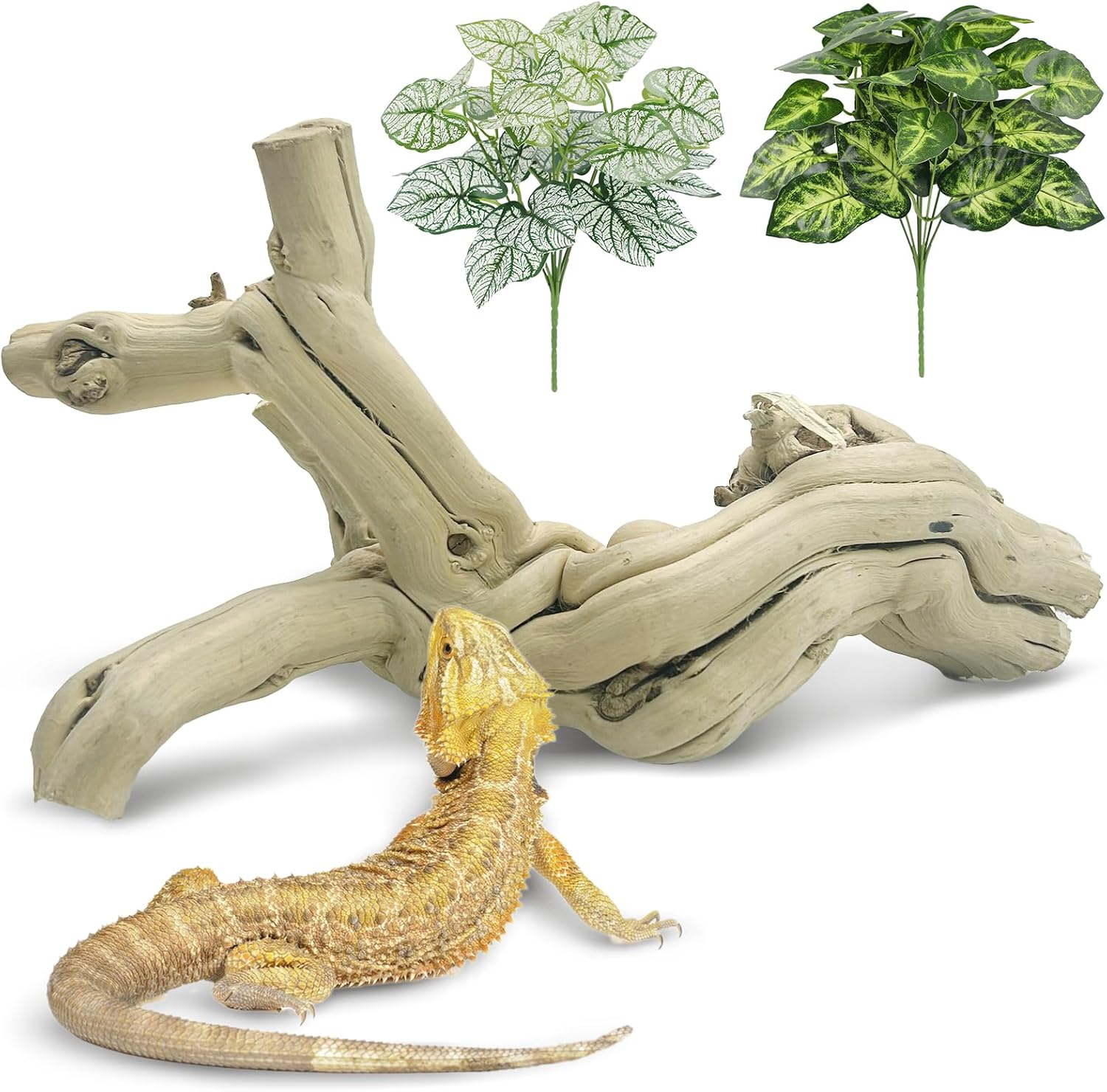 Reptile Branches for Climbing Natural Snake Climb Branch Extra Large Wood Forest Tree Trunk Decor Lizard Habitat Terrarium Decorations for Bearded Dragon Geckos Chameleon Frog - Image 10