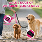 Shock absorbing flexible bungee section of the dual dog split lead