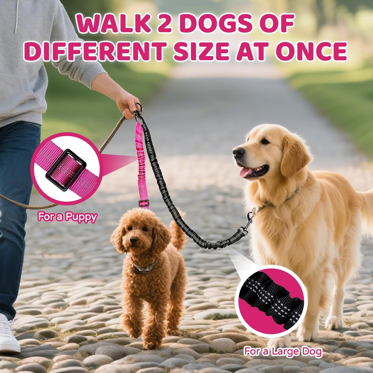 Shock absorbing flexible bungee section of the dual dog split lead