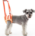 Allroaring harness packaging and product display