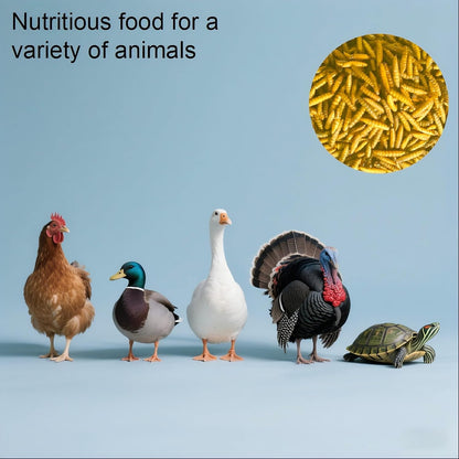 Nutritional label of Zenithworks black soldier fly larvae