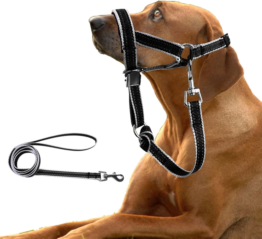 Side profile of Ohveeca dog head collar for large dogs