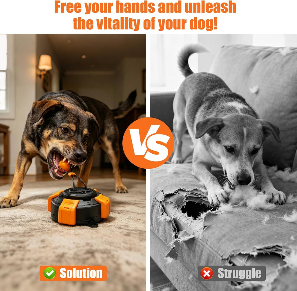 Zensrij suction cup dog toy attached to floor tile for tug of war