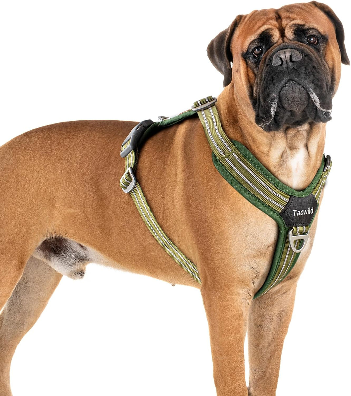 No Pull Dog Harness - Adjustable Reflective Dog Vest with Metal Snap, Soft Breathable Mesh No Choke Puppy Harness, Easy to Put on & Take Off (Blue-S) - Image 13