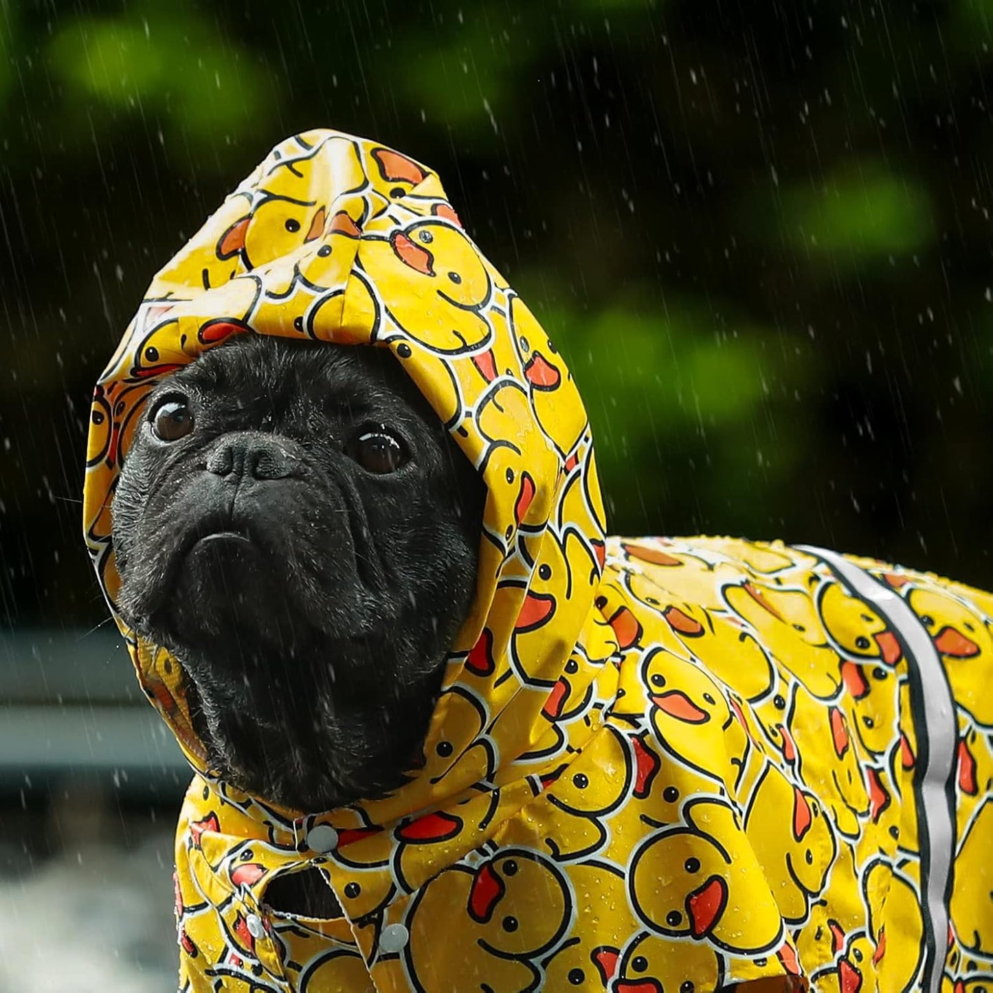 Fitwarm yellow waterproof pet jacket with hood side profile view