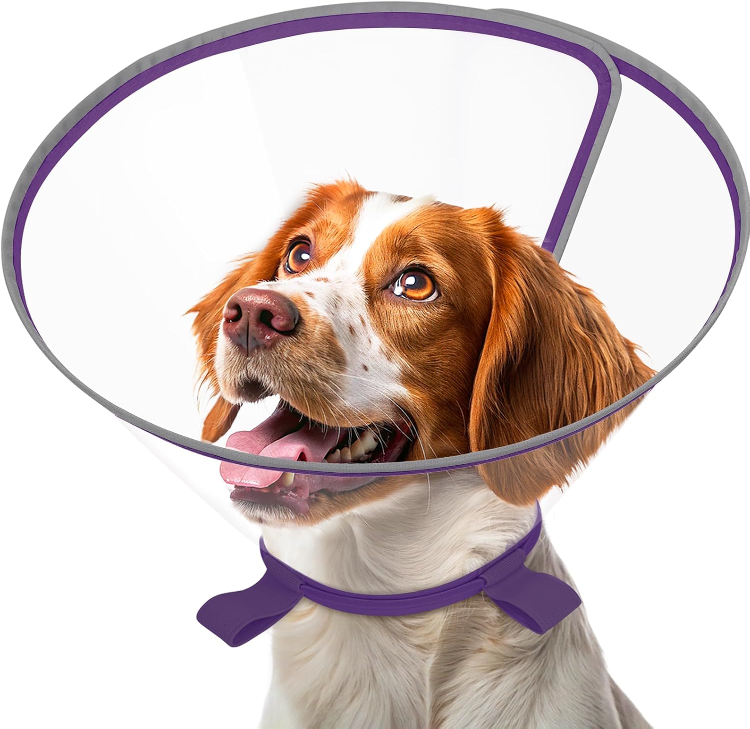Clear Dog Cone for Small Dogs After Surgery, Adjustable E-Collar to Stop Licking with Padded Neck for Chihuahua,etc, Soft Recovery Collar with Reflective Trim for Night Visibility, Black XXS - Image 10