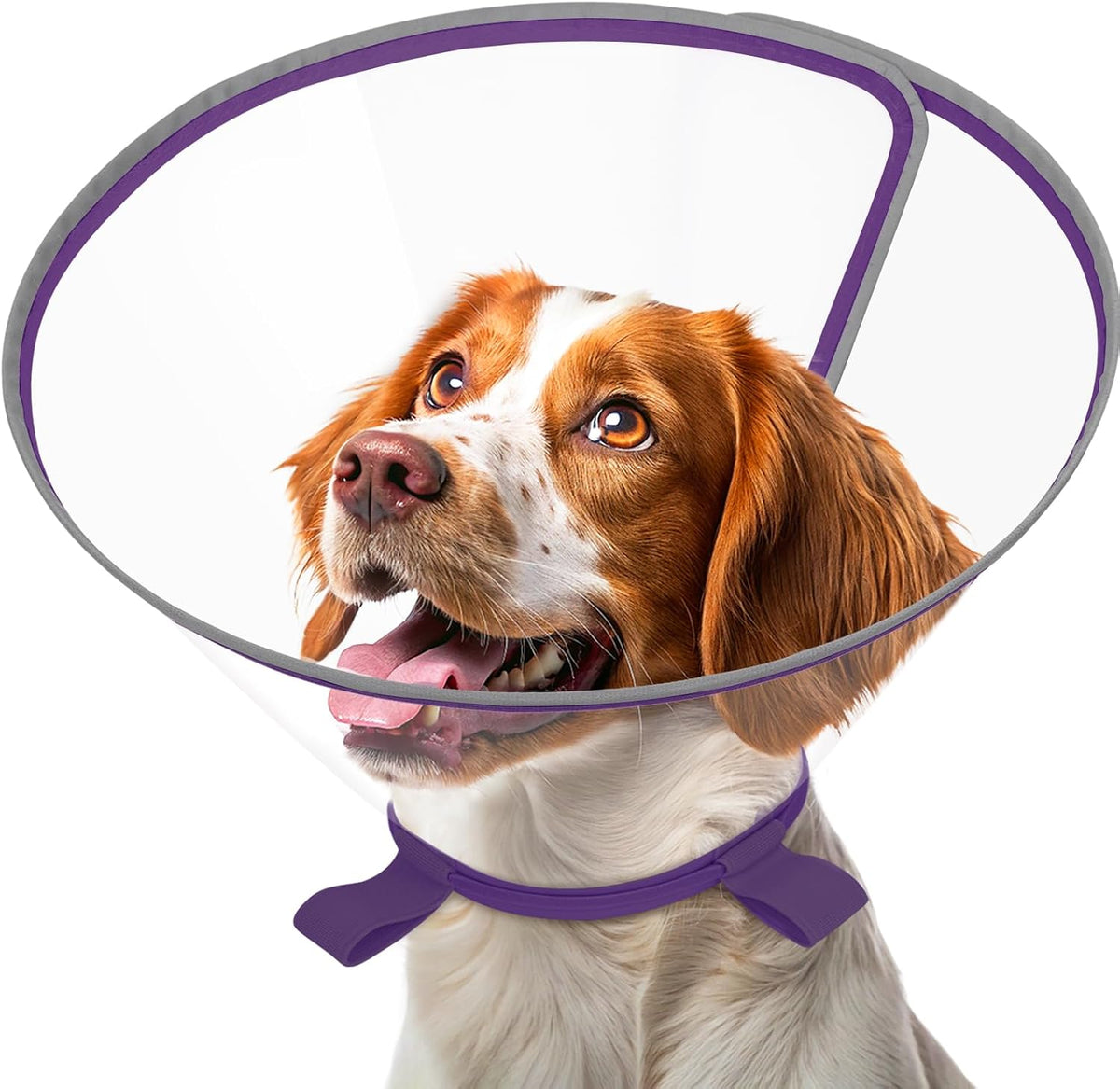 Clear Dog Cone for Small Dogs After Surgery, Adjustable E-Collar to Stop Licking with Padded Neck for Chihuahua,etc, Soft Recovery Collar with Reflective Trim for Night Visibility, Black XXS - Image 10