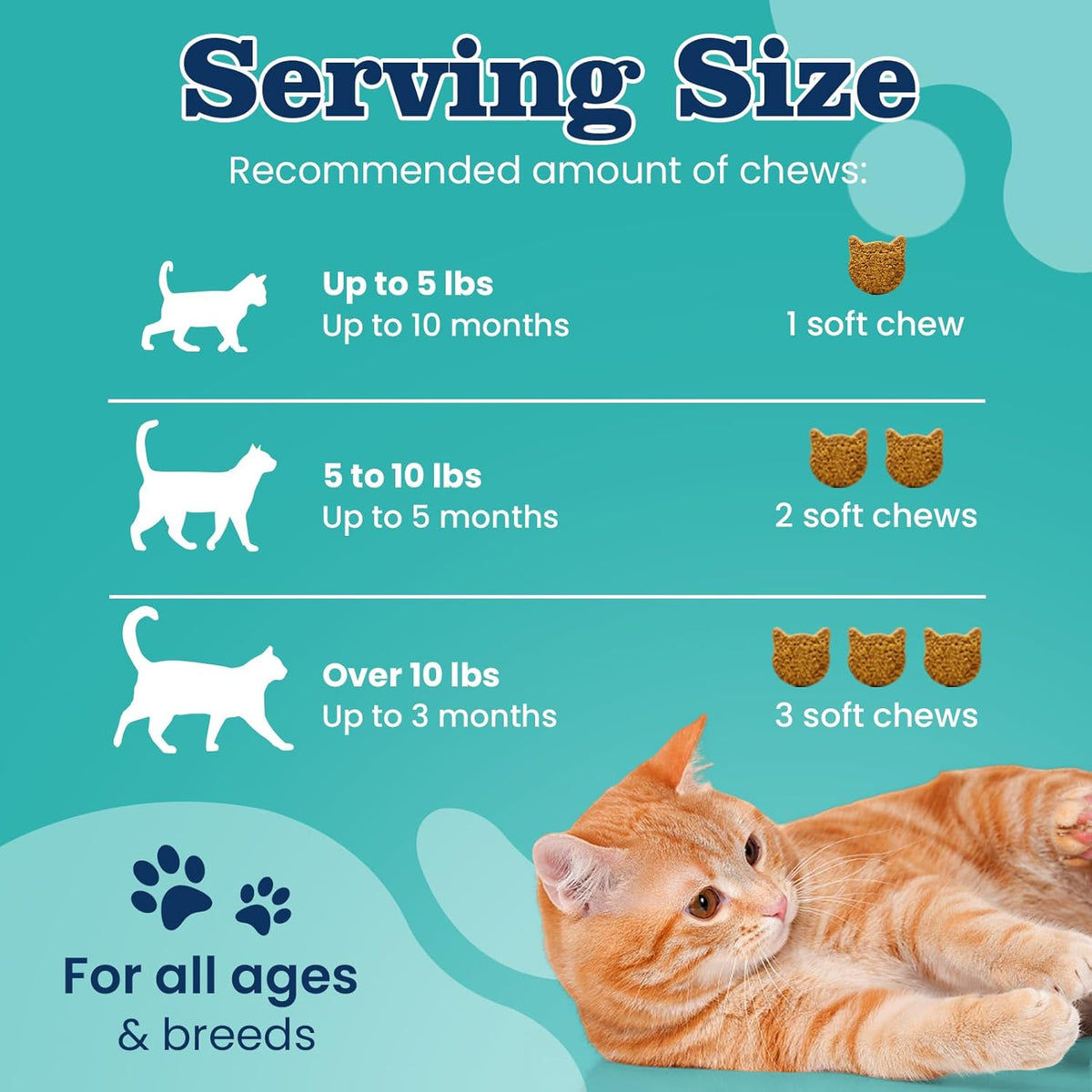 Plbkcts daily oral chewable supplement for cat health