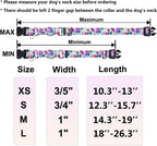 Fidohug reflective martingale collar flat lay product shot