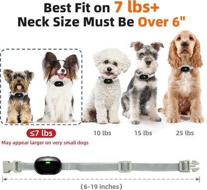 Side profile of Chupolik waterproof receiver for dogs