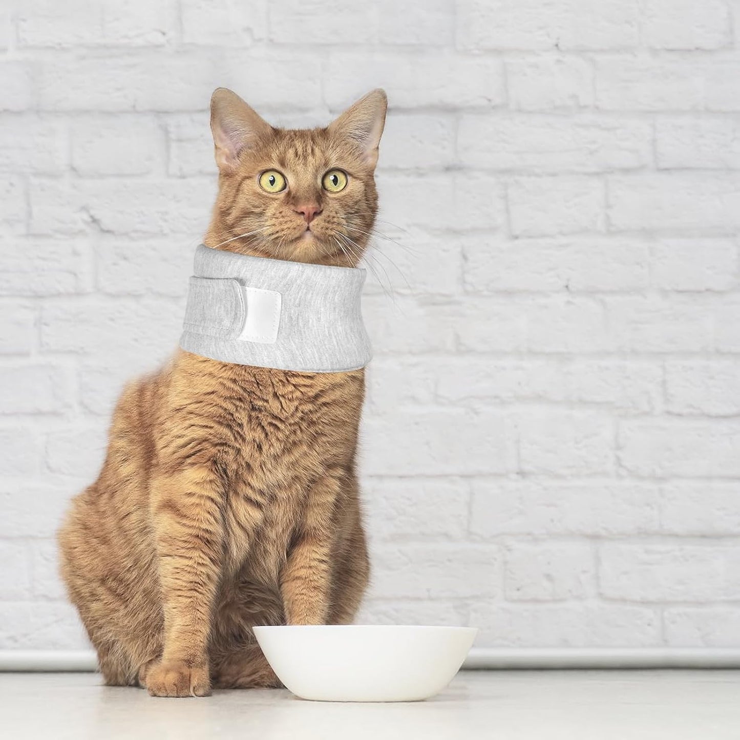 Close up of adjustable strap on Hiyoo grey pet neck brace