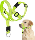 Candofly Dog Headcollar - Adjustable Dog Head Halter Reflective Head Collar Pet No-Pulling Collar for Easier Walk (Green, Large) - Image 9