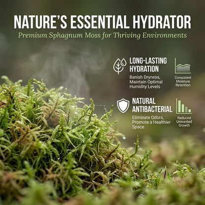 Natural green peat moss substrate being misted with water to maintain stable enclosure humidity