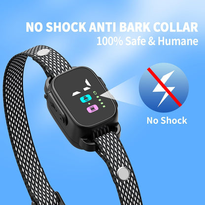 RICIVI small dog collar showing Type-C charging port detail
